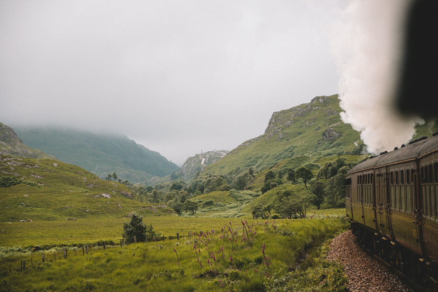 Un treno a vapore d'epoca attraversa una valle montana verdeggiante.