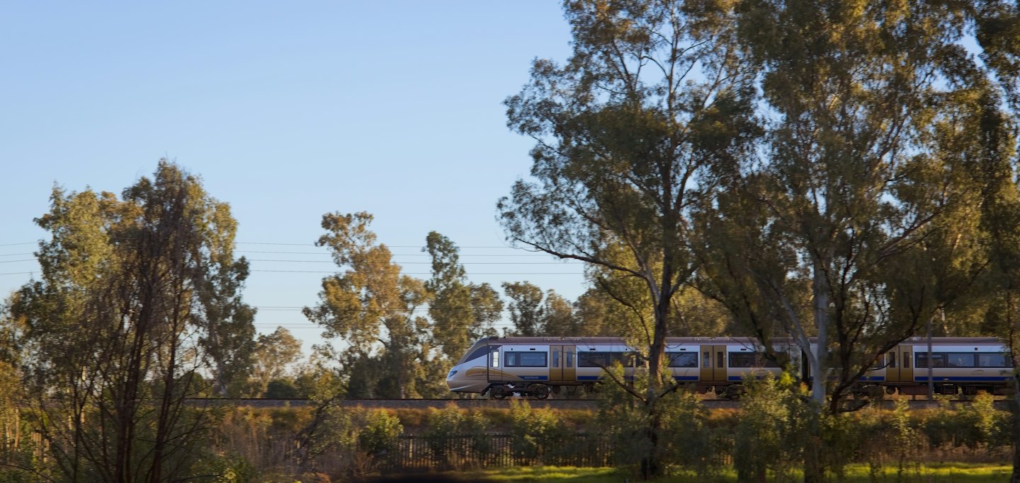 Un moderno treno d'argento e oro viaggia attraverso una foresta.